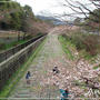 ☆2012 春の京都④：インクライン☆