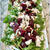 ビーツとルッコラのサラダ　Trader Joe’s Baby Beets　  Beets and Arugula Salad