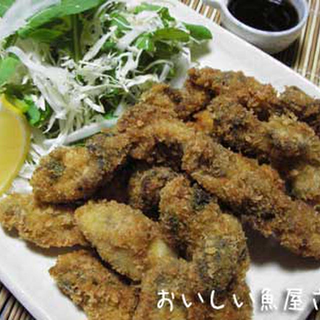 たっぷり召し上がれ♪【かきフライ】