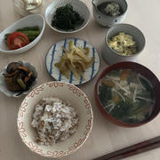 試作ご飯とドヤ顔猫と息子自炊ご飯記録