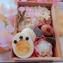 炊き込みごはんとおでんで春弁当〖デコ弁〗      #平日お昼ご飯はお弁当or外食