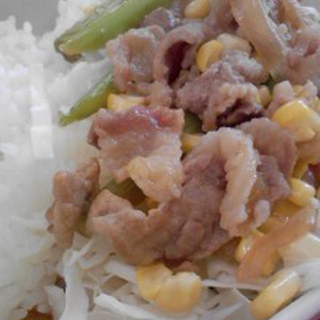 私のお昼☆　『焼き肉プレート？丼？』