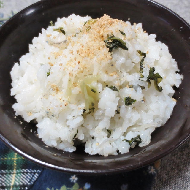 ちりめんじゃこと広島菜漬の☆混ぜご飯