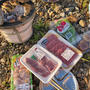 今日は夕涼みがてらに河原で焼肉♪