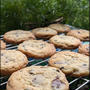 チョコチップクッキー　私のレシピ　懐しい写真