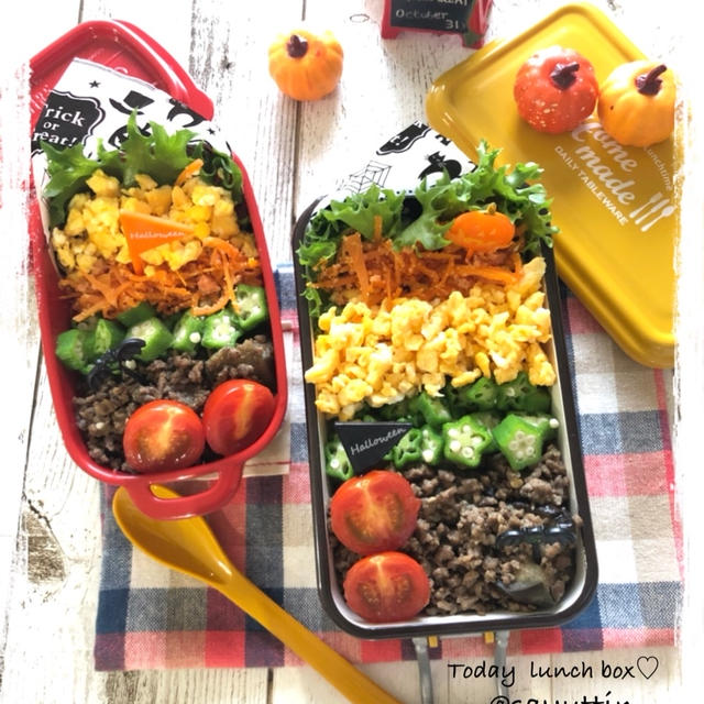 ナスそぼろ弁当～JK＆JCのおべんとう♪