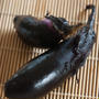 茄子のごま和え　塩麹漬け