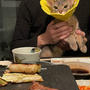 ねこの日に、焼肉の夜ごはん♪