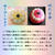 練り切り和菓子　蛇の目傘
