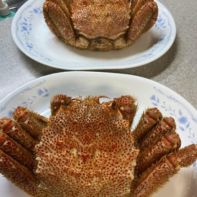 ふるさと納税の毛ガニを頂いて！旨い♪