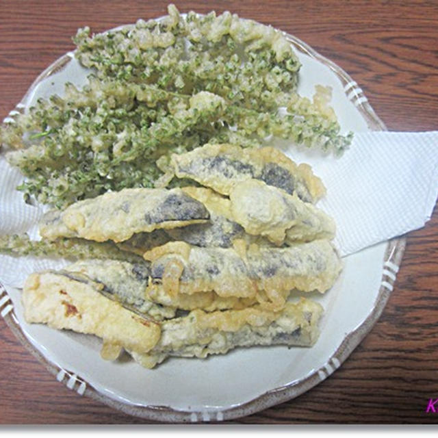 しその実の天ぷら By くきはさん レシピブログ 料理ブログのレシピ満載