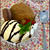 #36 デコレーションケーキレッスン