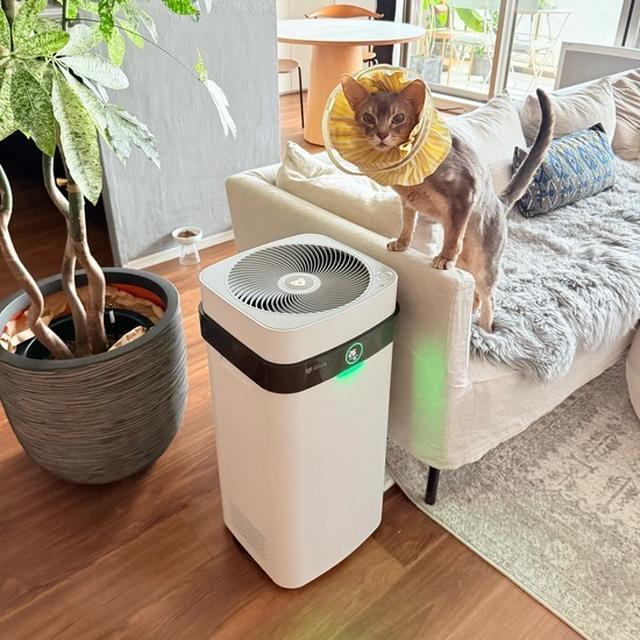 『Airdog』が来たー✨✨✨
