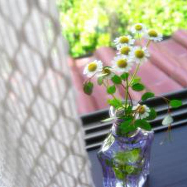 7月スタート☆