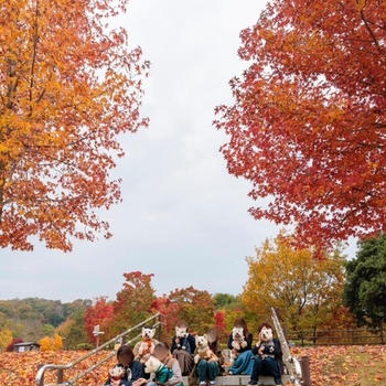 【香川の旅】まんのう公園で、お友達と逢う