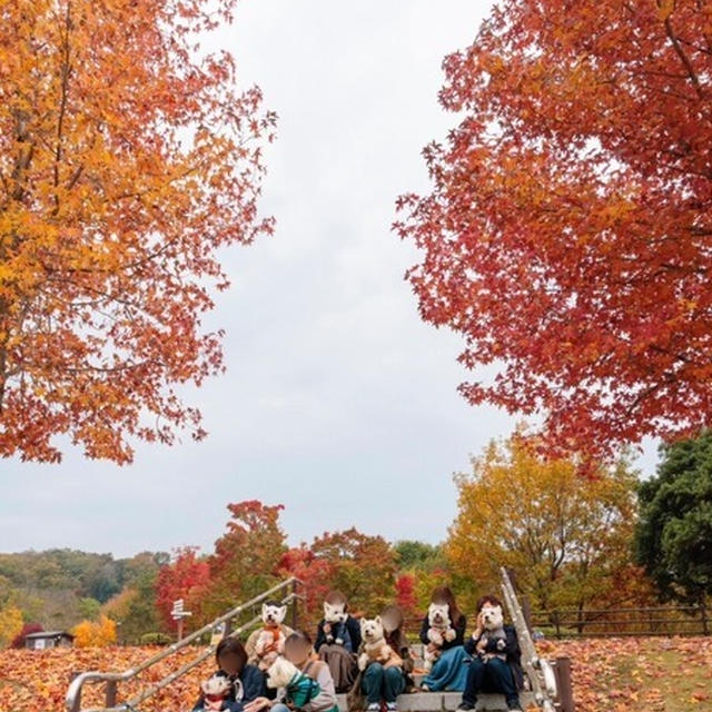 【香川の旅】まんのう公園で、お友達と逢う