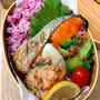 鮭弁当
