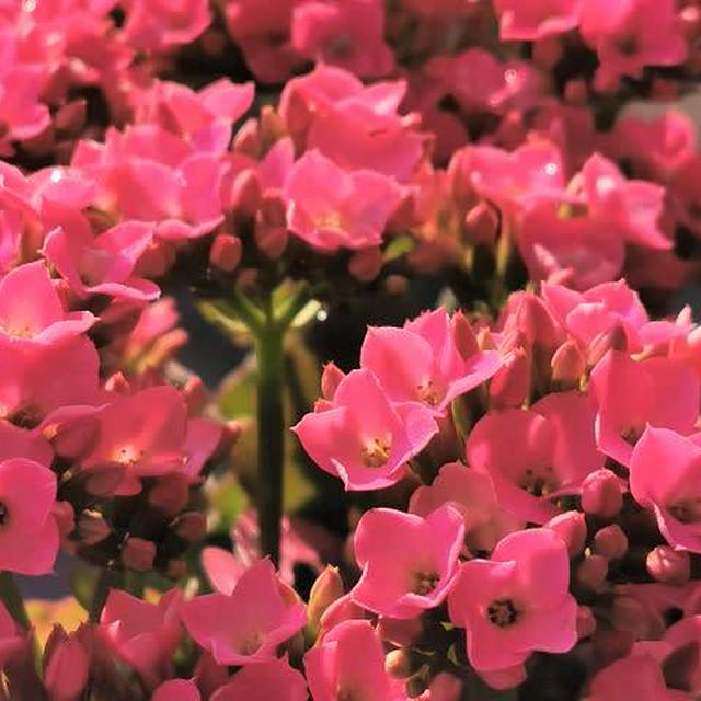 1年の1/3が終わった