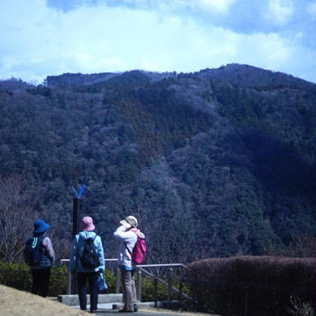 ■ウォーキング続（３）■【風の丘下山～愛川公園広場へ】