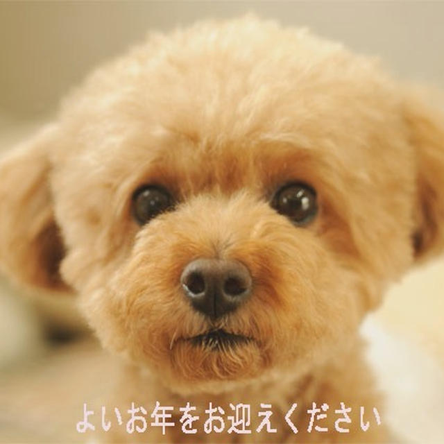 今年も　ありがとうございました