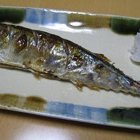 夕食　秋刀魚とアボカドのお刺身