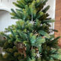 今年のクリスマスツリーは、観葉植物的な…