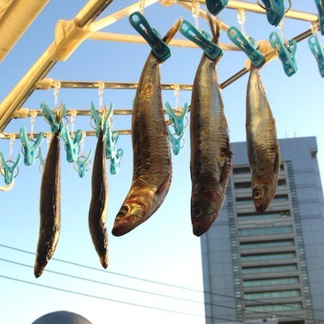 いわしの丸干し・イタリアン