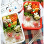 りんごちゃんのお弁当～JK＆JCのおべんとう♪