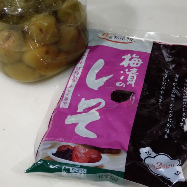 コンクール＆発表会終わりました☆梅仕事＆サンドイッチもろもろ