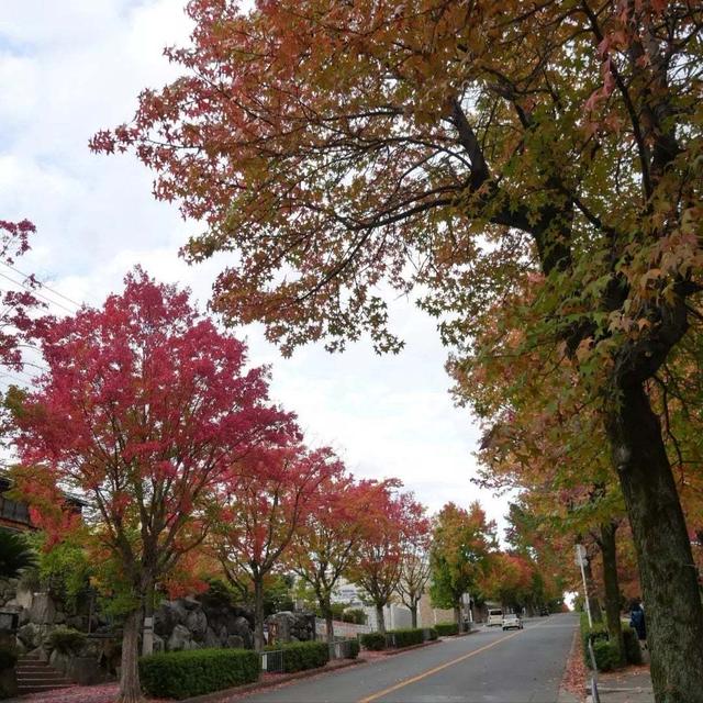 三色街道#秋を感じた瞬間
