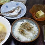 sakana