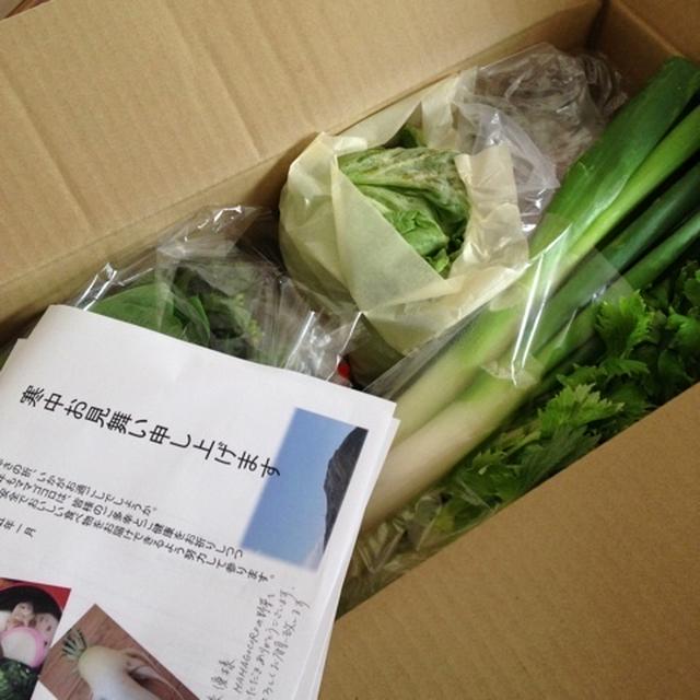 mamagocoroさん 素敵九州野菜