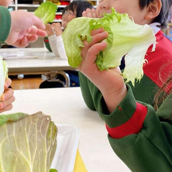 三鷹若葉幼稚園さま食育レッスン「野菜」