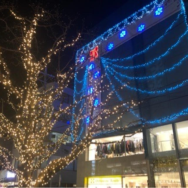 自由が丘緑道沿いのイルミネーション 今年のクリスマスの過ごし方