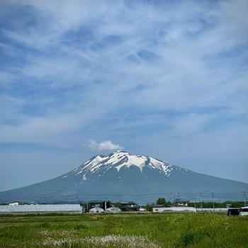  津軽天然藍染川﨑染工場