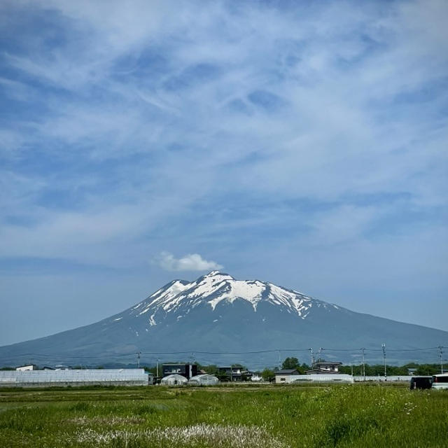  津軽天然藍染川﨑染工場