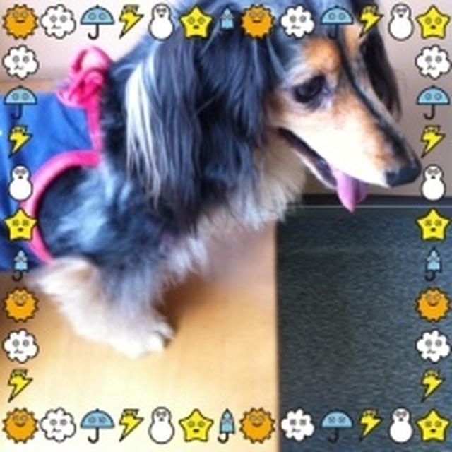 走ります