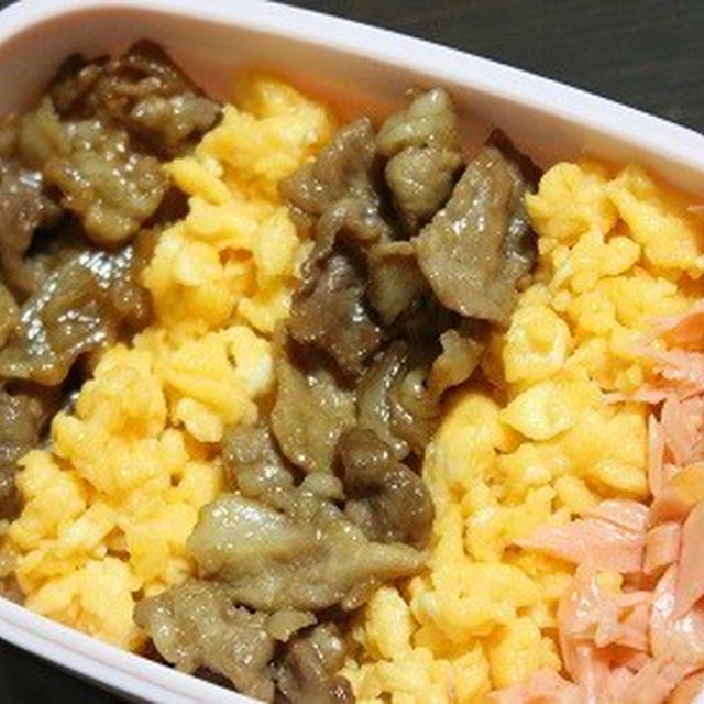 9月20日　　三色弁当