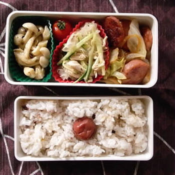 作り置きおかずのお弁当