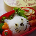 校外学習へGO！リアルねこちゃんのお弁当