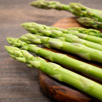 【野菜】アスパラガス ～ 栄養価・選び方・保存方法