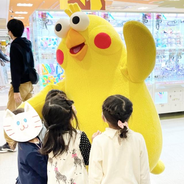 ポインコが来てくれた〜！