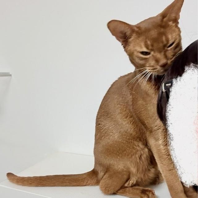 後ろからアピールする、ひめちゃん