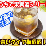 【レシピ】おうちで果実酒！王道の梅酒！