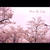 桜満開♪嵐の発表会