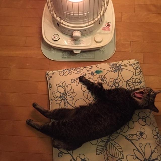 あけましておめでとうございます