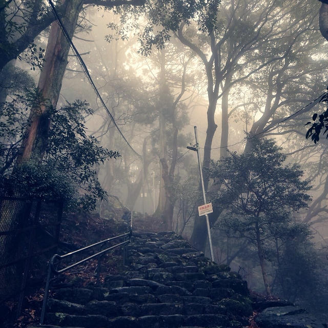 三兄弟休日♡伊勢原大山へ
