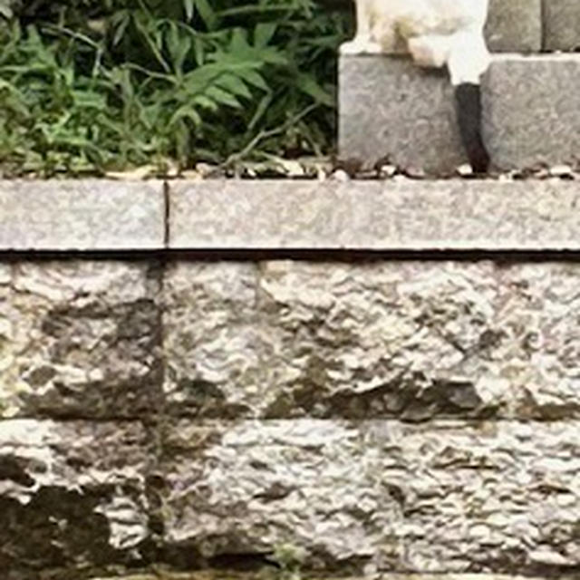 久しぶり～！