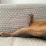 どっちの寝相でしょうかー？