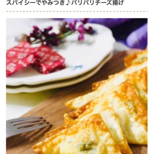 【掲載】くらしのアンテナ おつまみにイチオシ！ついつい食べちゃう「チーズの包み揚げ」